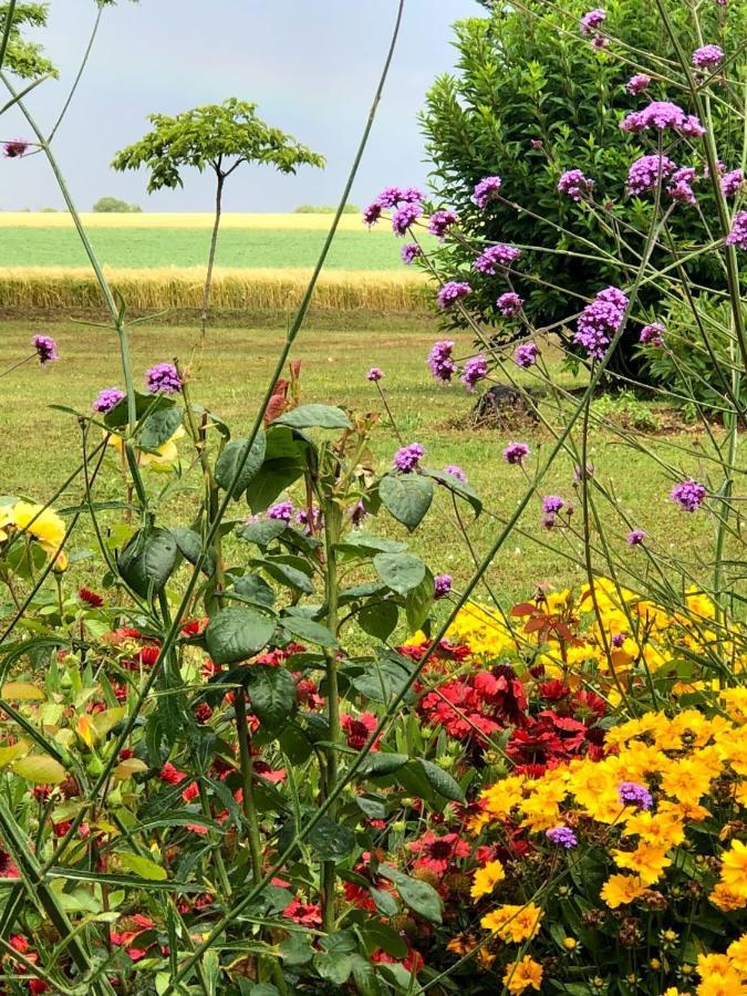 Lagalerne Bed & Breakfast Neuville-du-Poitou Dış mekan fotoğraf