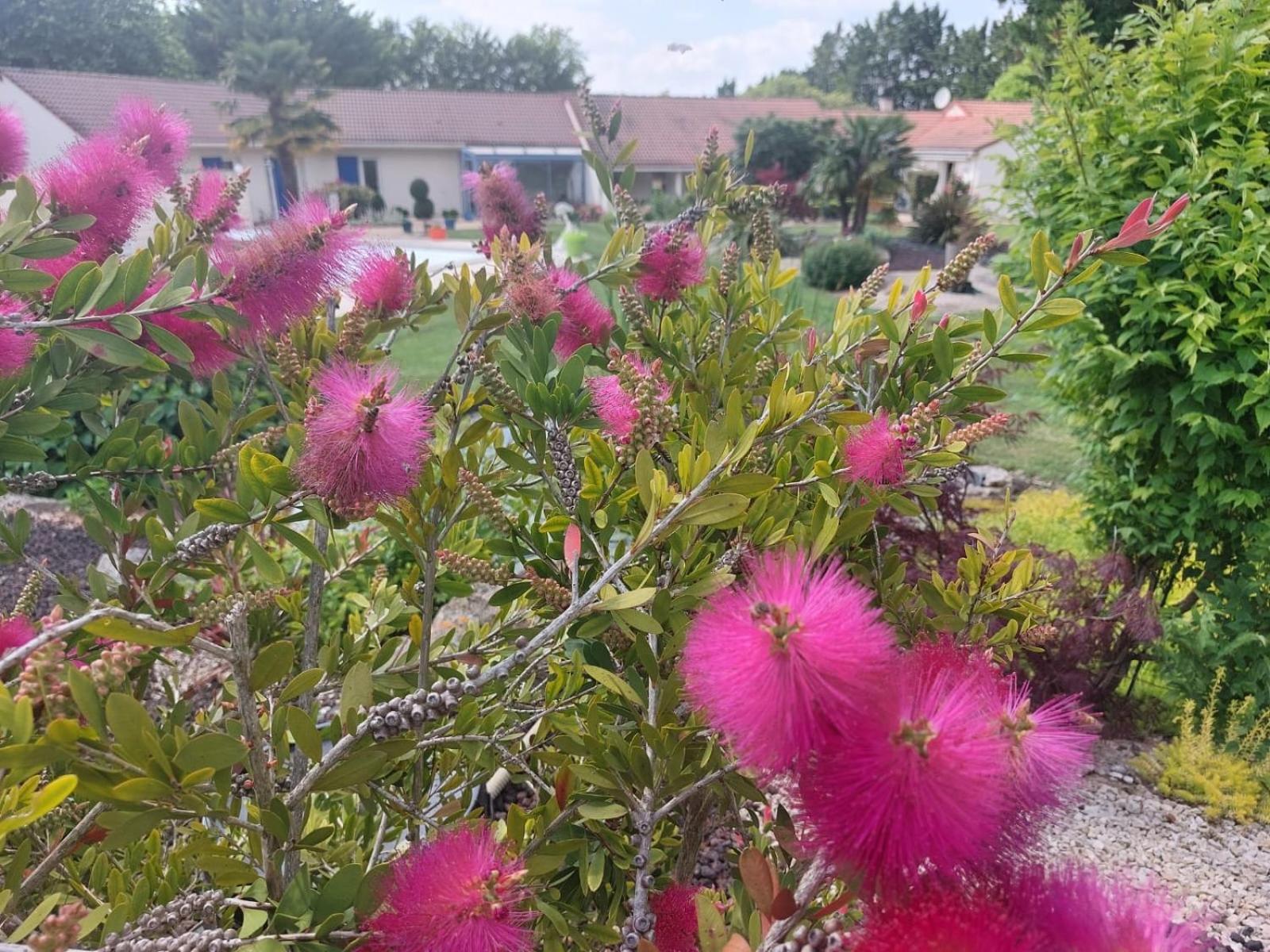 Lagalerne Bed & Breakfast Neuville-du-Poitou Dış mekan fotoğraf