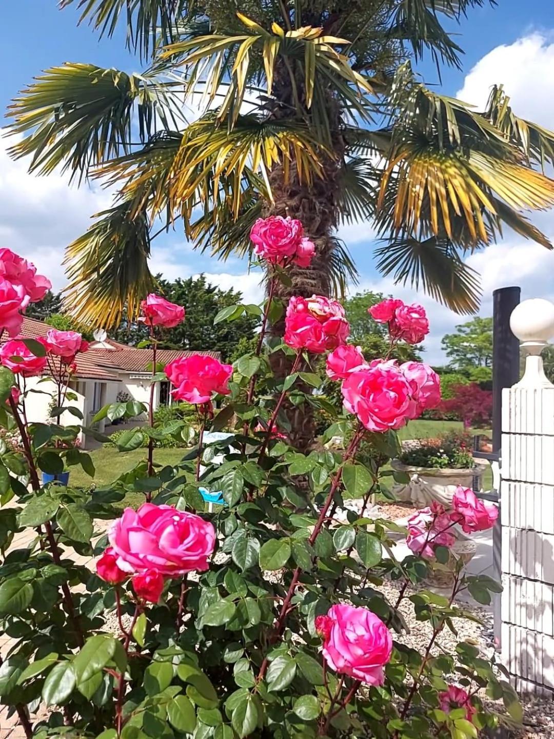 Lagalerne Bed & Breakfast Neuville-du-Poitou Dış mekan fotoğraf